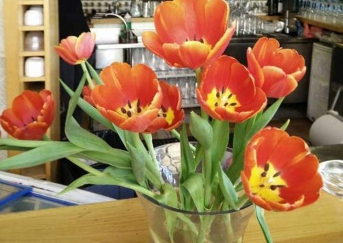 מסעדה רומנטית בירושלים