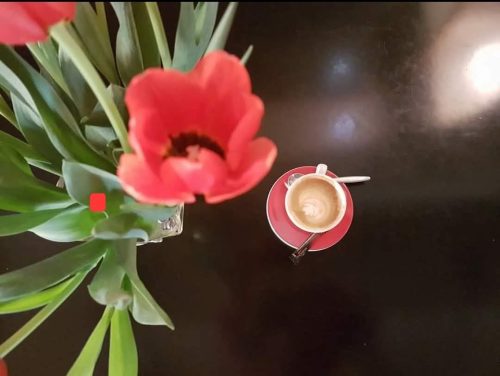 בית קפה מומלץ בעין כרם